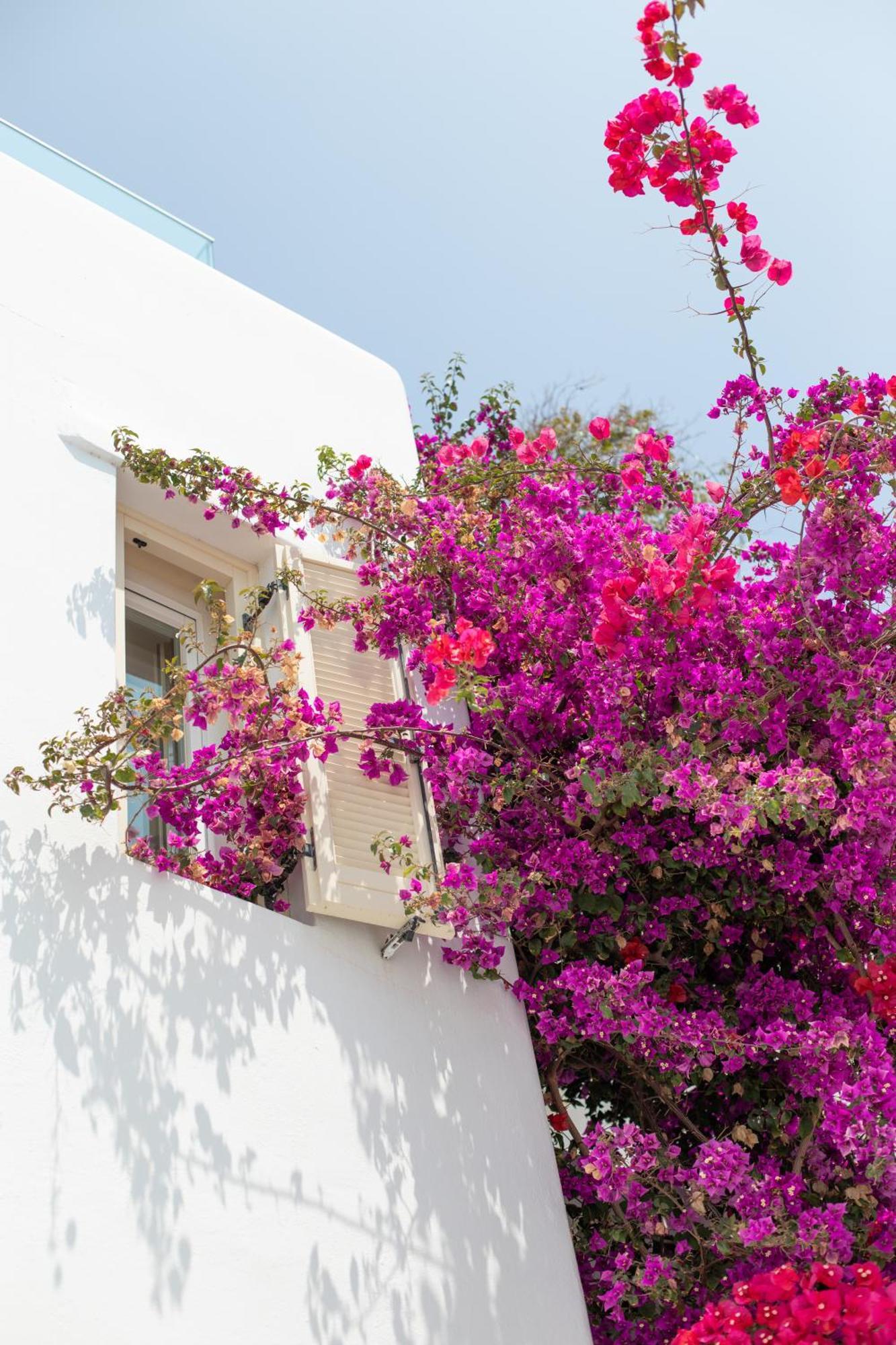 Hotel The George Mykonos 4*
